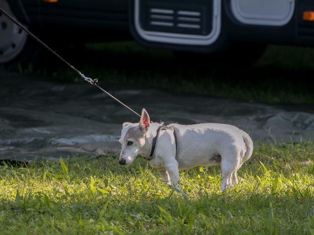 IMG-20180918-WA0091