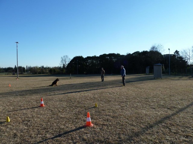 P1020141