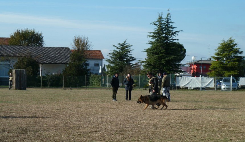 p1010891